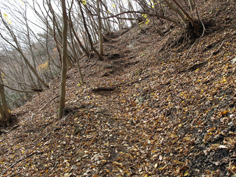 20151116hike (252)